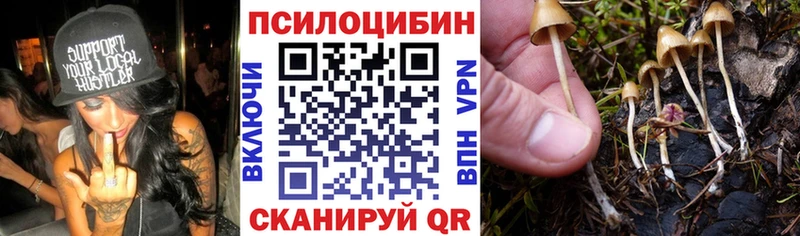 ОМГ ОМГ как зайти  Дно  Псилоцибиновые грибы GOLDEN TEACHER 