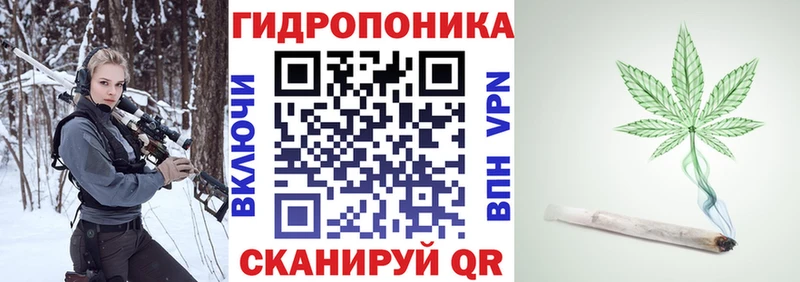 shop состав купить сайты Дно Шишки марихуана THC 21%
